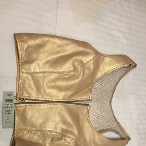 Sexy Gold crop top, netting back.